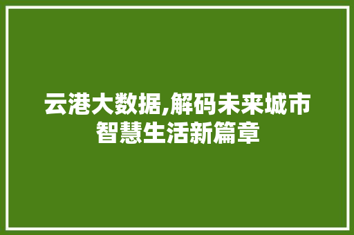 云港大数据,解码未来城市智慧生活新篇章 360搜优化