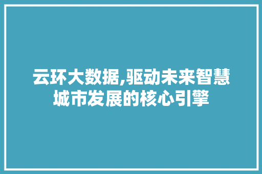 云环大数据,驱动未来智慧城市发展的核心引擎 头条优化