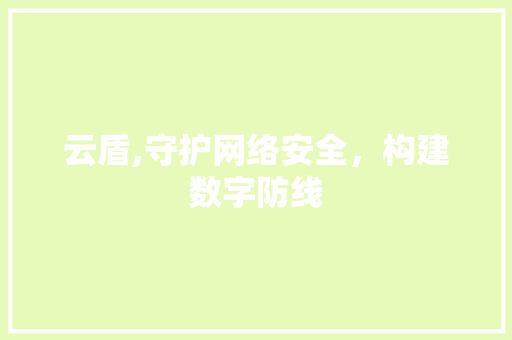 云盾,守护网络安全，构建数字防线
