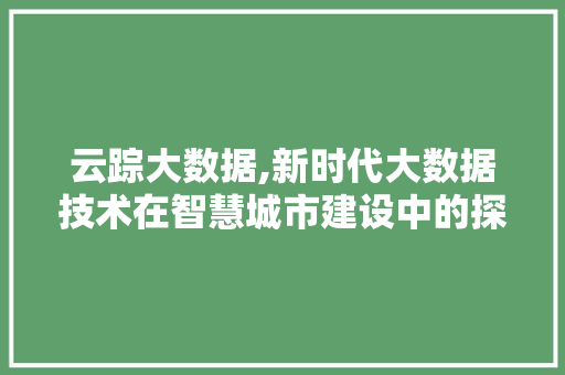 云踪大数据,新时代大数据技术在智慧城市建设中的探索与应用 小程序开发