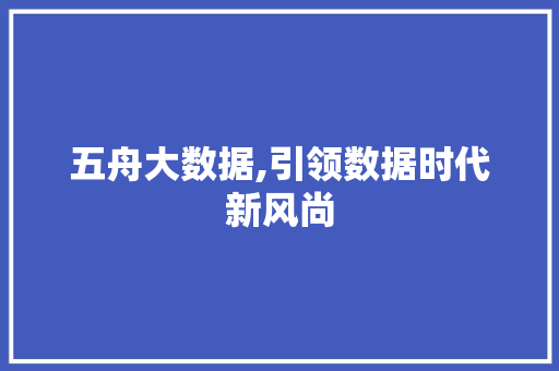 五舟大数据,引领数据时代新风尚 头条优化