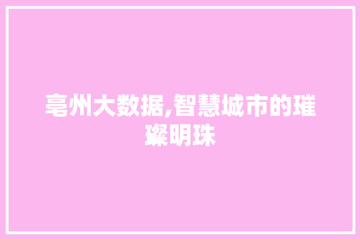 亳州大数据,智慧城市的璀璨明珠
