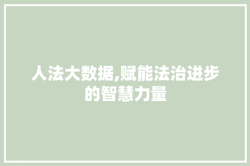 人法大数据,赋能法治进步的智慧力量