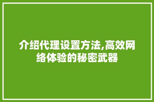 介绍代理设置方法,高效网络体验的秘密武器