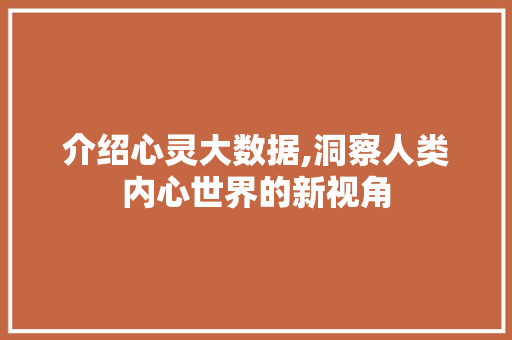介绍心灵大数据,洞察人类内心世界的新视角 网站优化
