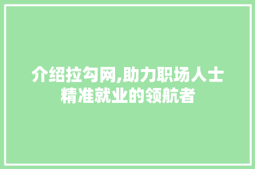 介绍拉勾网,助力职场人士精准就业的领航者