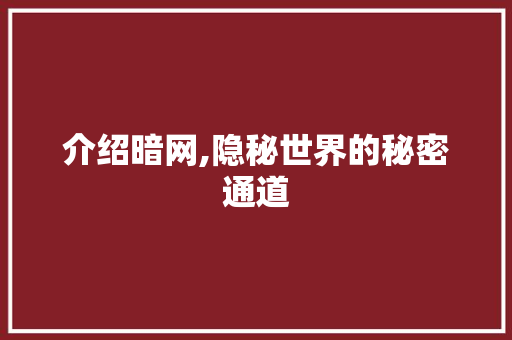 介绍暗网,隐秘世界的秘密通道