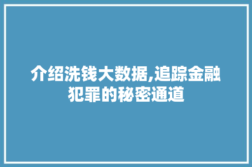 介绍洗钱大数据,追踪金融犯罪的秘密通道