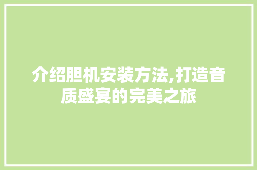 介绍胆机安装方法,打造音质盛宴的完美之旅