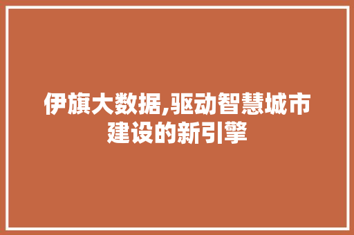 伊旗大数据,驱动智慧城市建设的新引擎 网站开发