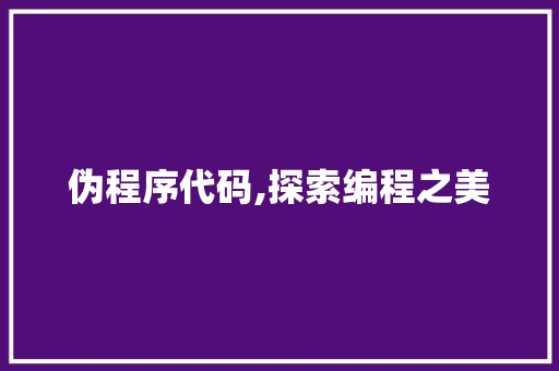 伪程序代码,探索编程之美