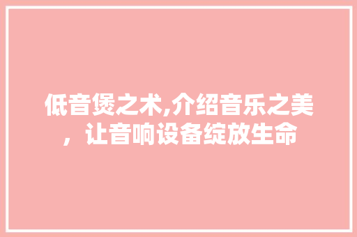 低音煲之术,介绍音乐之美，让音响设备绽放生命