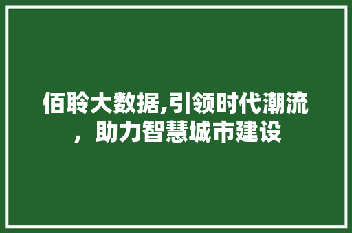 佰聆大数据,引领时代潮流，助力智慧城市建设 百度算法