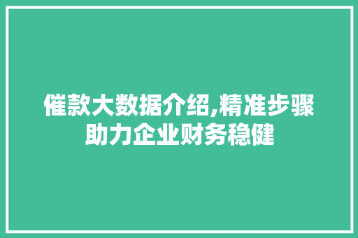 催款大数据介绍,精准步骤助力企业财务稳健 头条优化