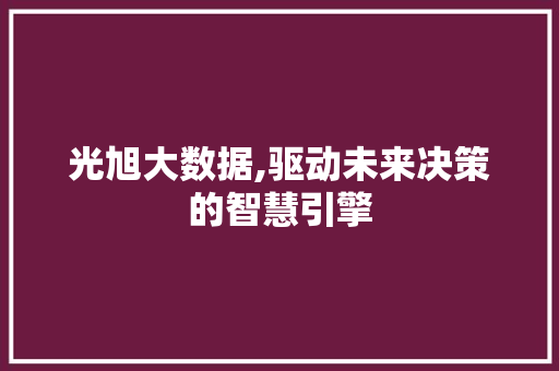 光旭大数据,驱动未来决策的智慧引擎