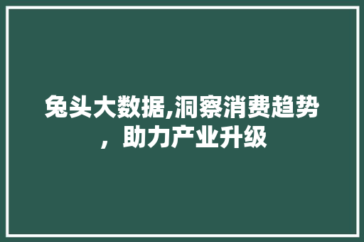 兔头大数据,洞察消费趋势，助力产业升级 搜狗优化