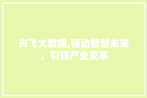 兴飞大数据,驱动智慧未来，引领产业变革 AI技术学习