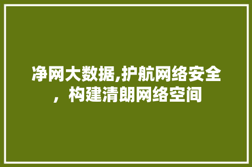 净网大数据,护航网络安全，构建清朗网络空间