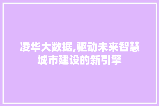 凌华大数据,驱动未来智慧城市建设的新引擎 seo技术