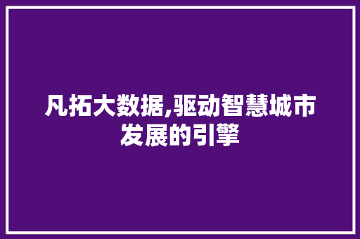 凡拓大数据,驱动智慧城市发展的引擎 360搜优化