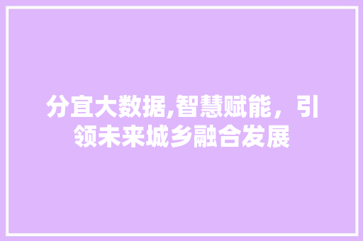 分宜大数据,智慧赋能，引领未来城乡融合发展 网站优化
