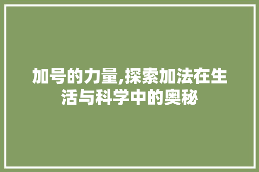 加号的力量,探索加法在生活与科学中的奥秘