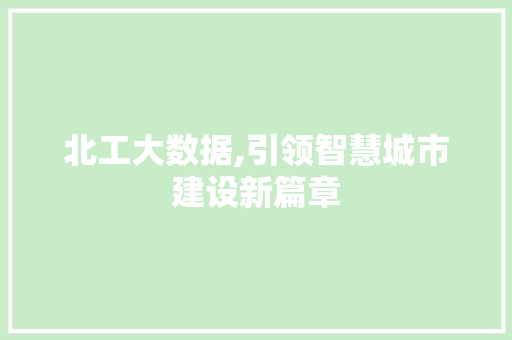 北工大数据,引领智慧城市建设新篇章