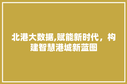 北港大数据,赋能新时代，构建智慧港城新蓝图