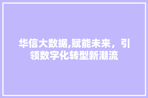 华信大数据,赋能未来，引领数字化转型新潮流 头条优化