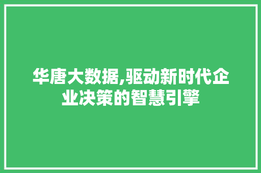 华唐大数据,驱动新时代企业决策的智慧引擎 网站开发