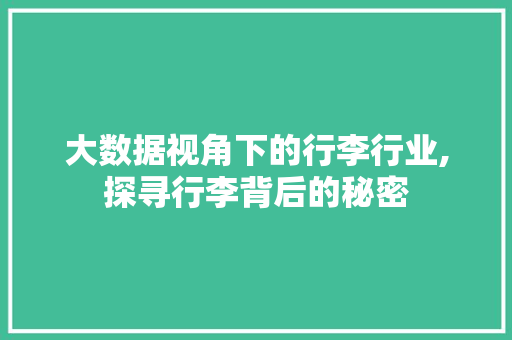 大数据视角下的行李行业,探寻行李背后的秘密