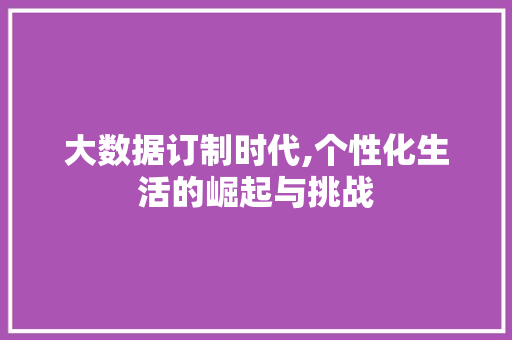 大数据订制时代,个性化生活的崛起与挑战 搜狗优化