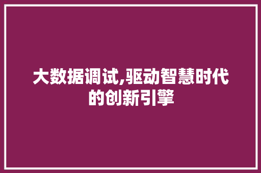 大数据调试,驱动智慧时代的创新引擎