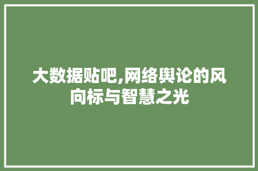 大数据贴吧,网络舆论的风向标与智慧之光