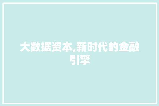 大数据资本,新时代的金融引擎 网站开发