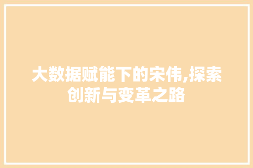 大数据赋能下的宋伟,探索创新与变革之路 网站优化