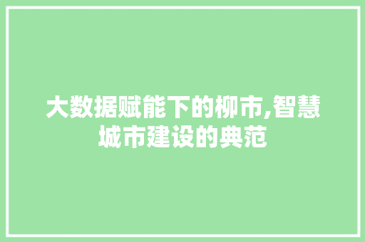 大数据赋能下的柳市,智慧城市建设的典范 网站开发