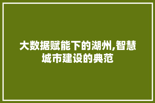 大数据赋能下的湖州,智慧城市建设的典范