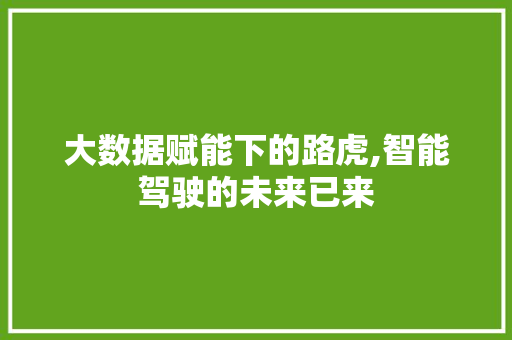 大数据赋能下的路虎,智能驾驶的未来已来