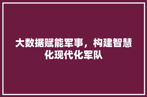 大数据赋能军事，构建智慧化现代化军队