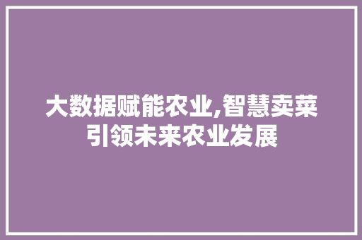 大数据赋能农业,智慧卖菜引领未来农业发展