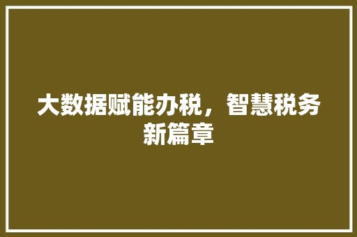 大数据赋能办税，智慧税务新篇章
