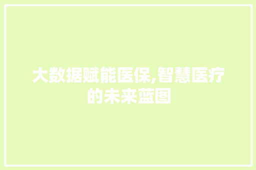 大数据赋能医保,智慧医疗的未来蓝图