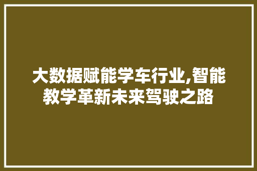 大数据赋能学车行业,智能教学革新未来驾驶之路 小程序开发