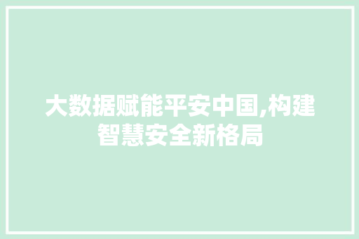 大数据赋能平安中国,构建智慧安全新格局