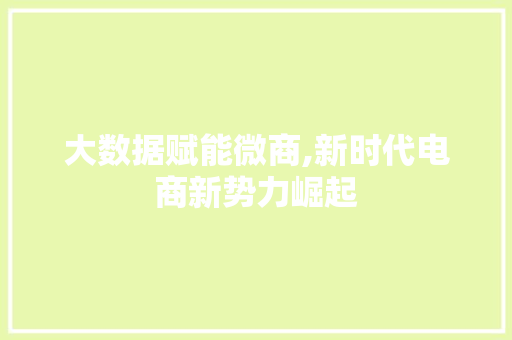 大数据赋能微商,新时代电商新势力崛起 搜狗优化