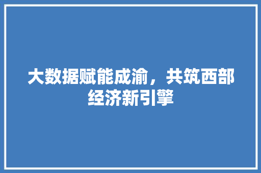 大数据赋能成渝，共筑西部经济新引擎 360搜优化