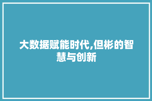 大数据赋能时代,但彬的智慧与创新 网站开发