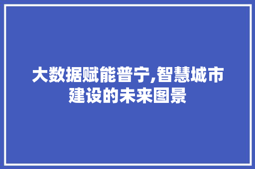 大数据赋能普宁,智慧城市建设的未来图景