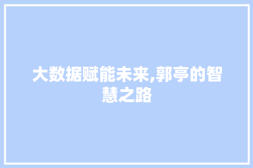 大数据赋能未来,郭亭的智慧之路 360搜优化